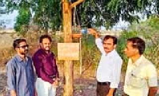 Designed for birds, 17 kilometers of 'Paneri' | पक्ष्यांसाठी तयार केली १७ किलोमीटर ‘पाणेरी’ Designed for birds, 17 kilometers of 'Paneri' | पक्ष्यांसाठी तयार केली १७ किलोमीटर ‘पाणेरी’