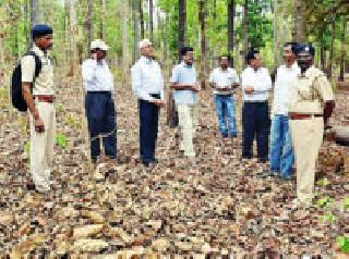 Navatola inspected by state-level committee | नवाटोलाची राज्यस्तरीय समितीकडून पाहणी Navatola inspected by state-level committee | नवाटोलाची राज्यस्तरीय समितीकडून पाहणी