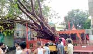 Windy rain overwhelmed for an hour | वादळी पावसाने तासभर झोडपले Windy rain overwhelmed for an hour | वादळी पावसाने तासभर झोडपले