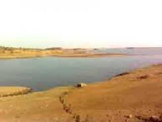 Pophathed Irrigation Project Stops! | पोपटखेड सिंचन प्रकल्प रखडला!