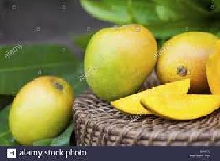 The flag of the people to buy Gavran Mango | गावरान आंबे खरेदीसाठी लोकांची झुंबड