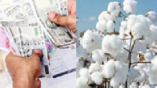 Loan of Rs. 2900 crore on farmers' debt | शेतकऱ्यांच्या डोईवर २९०० कोटींचे कर्ज
