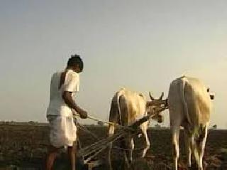 Mud pocket work | हवामानातील बदलामुळे मशागतीच्या कामांना वेग Mud pocket work | हवामानातील बदलामुळे मशागतीच्या कामांना वेग