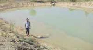 Due to the farming, the farming became prosperous | शेततळ्यांमुळे शेती झाली समृद्ध Due to the farming, the farming became prosperous | शेततळ्यांमुळे शेती झाली समृद्ध