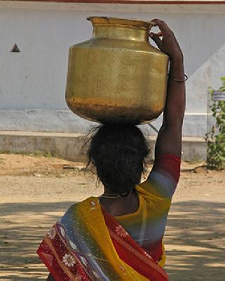 Watershed in Wankhede | वानखेड येथे भीषण पाणीटंचाई Watershed in Wankhede | वानखेड येथे भीषण पाणीटंचाई