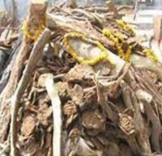 Before the sister's departure, brother Bhai | बहिणीच्या बिदाईपूर्वीच भाऊ सरणावर Before the sister's departure, brother Bhai | बहिणीच्या बिदाईपूर्वीच भाऊ सरणावर