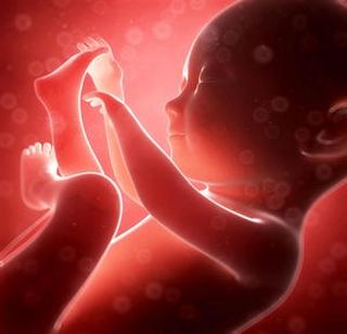 New hall of maternal mortality | मातृत्वाचे नवे दालन New hall of maternal mortality | मातृत्वाचे नवे दालन