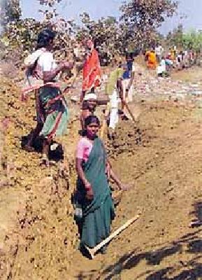 The district has a fund of 14 crores | जिल्ह्याला १४ कोटींचा निधी हवा