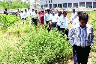 Home Improvement of Sports Complex | क्रीडा संकुलप्रश्नी अधिकाऱ्यांची कानउघाडणी Home Improvement of Sports Complex | क्रीडा संकुलप्रश्नी अधिकाऱ्यांची कानउघाडणी