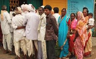 The new account holders are deprived of the farmer's farming | नवे खातेदार शेतकरी पिककर्जापासून वंचित The new account holders are deprived of the farmer's farming | नवे खातेदार शेतकरी पिककर्जापासून वंचित