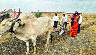 Shree Shan Shan Dan | आधी श्रमदान..मग बांधणार रेशीमगाठ Shree Shan Shan Dan | आधी श्रमदान..मग बांधणार रेशीमगाठ