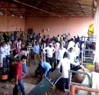 VIDEO: Boom measurements slow down, tractor strings at shopping centers sustain! | VIDEO: तुरीचे मोजमाप संथगतीने, खरेदी केंद्रांवर ट्रॅक्टरच्या रांगा कायम! VIDEO: Boom measurements slow down, tractor strings at shopping centers sustain! | VIDEO: तुरीचे मोजमाप संथगतीने, खरेदी केंद्रांवर ट्रॅक्टरच्या रांगा कायम!