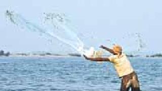 In addition to irrigation, now there is no fishery | सिंचनासोबतच आता मत्स्यपालनही In addition to irrigation, now there is no fishery | सिंचनासोबतच आता मत्स्यपालनही