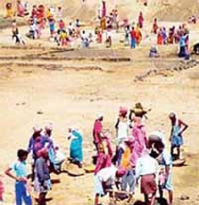 Eight thousand laborers on NREGA | ‘नरेगा’वर आठ हजार मजूर Eight thousand laborers on NREGA | ‘नरेगा’वर आठ हजार मजूर