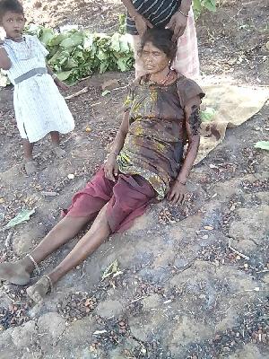 Husband's death in beau attack, wife serious | अस्वलाच्या हल्ल्यात पतीचा मृत्यू, पत्नी गंभीर Husband's death in beau attack, wife serious | अस्वलाच्या हल्ल्यात पतीचा मृत्यू, पत्नी गंभीर