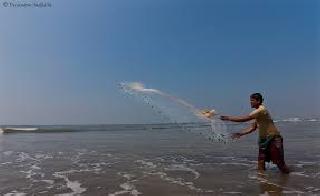 Ban fishing in rainy season in Konkan | कोकणात पावसाळी कालावधीत मासेमारीस बंदी Ban fishing in rainy season in Konkan | कोकणात पावसाळी कालावधीत मासेमारीस बंदी