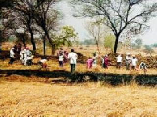 Five Gram Panchayats will get admission | पाच ग्रामपंचायतींना मुहूर्तच मिळेना