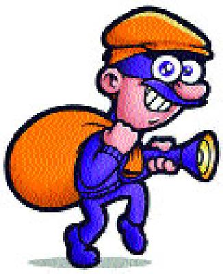 Theft incidents in the area panic | देवळ्यात चोरीच्या घटनांनी घबराट