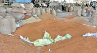 Market Committees Target Only | बाजार समित्यांना केवळ तुरीचे टार्गेट Market Committees Target Only | बाजार समित्यांना केवळ तुरीचे टार्गेट