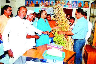 Officers visit dried crops | अधिकाऱ्यांना वाळलेल्या पिकांची भेट Officers visit dried crops | अधिकाऱ्यांना वाळलेल्या पिकांची भेट