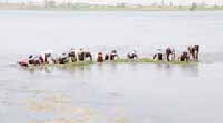 Above! One million mud | अबब ! एक कोटींचा गाळ Above! One million mud | अबब ! एक कोटींचा गाळ