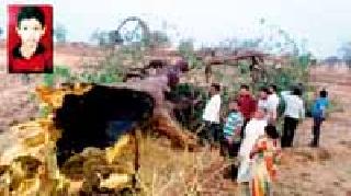 Baby death by burying under the tree | झाडाखाली दबून बालकाचा मृत्यू Baby death by burying under the tree | झाडाखाली दबून बालकाचा मृत्यू