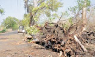 Monsoon Streets | मान्सूनपूर्व वादळाचा कहर Monsoon Streets | मान्सूनपूर्व वादळाचा कहर