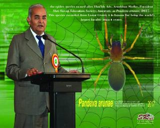 'Pandava Arunai' is a new species of spider species | ‘पांडवा अरूणेई’ नव्या कोळी प्रजातीचा शोेध 'Pandava Arunai' is a new species of spider species | ‘पांडवा अरूणेई’ नव्या कोळी प्रजातीचा शोेध