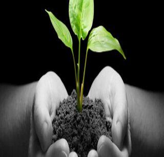 Farmers: Distribution of seedlings with peak crops | शेतक:यांना पीककर्जासोबत रोपांचे वाटप