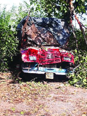 Kidney kills boulder on truck; Driver injured | ट्रकवर वडाचे झाड कोसळून क्लिनर ठार ; चालक जखमी Kidney kills boulder on truck; Driver injured | ट्रकवर वडाचे झाड कोसळून क्लिनर ठार ; चालक जखमी