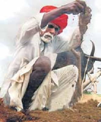 SOCIAL HEALTH CARD | शेतकऱ्यांच्या हाती ‘सॉईल हेल्थ कार्ड’