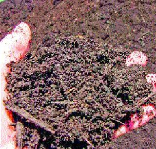 The demand for farmers' farming has increased | शेतकऱ्यांची शेणखताला मागणी वाढली