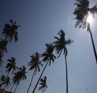 Speak rain, play wool shadows throughout the day | पावसाचा सांगावा, दिवसभर ऊन सावल्यांचा खेळ