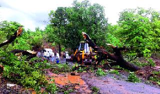 Rainfall of the district in the district | पावसाने जिल्ह्यात दाणादाण Rainfall of the district in the district | पावसाने जिल्ह्यात दाणादाण