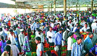 The prices of stirred vegetables | भडकले भाज्यांचे भाव