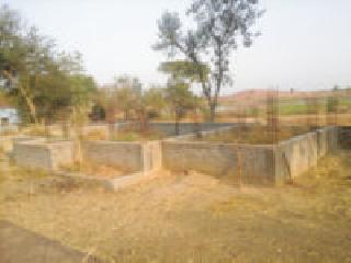 Construction of the veterinary building in the cold water | पशुवैद्यकीय इमारतीचे बांधकाम थंडबस्त्यात