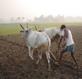 The first farmer in the country is in Raigad | देशातील पहिला शेतकरी संप रायगडमध्ये The first farmer in the country is in Raigad | देशातील पहिला शेतकरी संप रायगडमध्ये