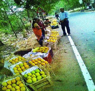 Mango production in Konkan is 35 percent | कोकणातील आंबा उत्पादन ३५ टक्के Mango production in Konkan is 35 percent | कोकणातील आंबा उत्पादन ३५ टक्के