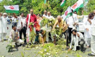 Farmer agitation in Nagpur | शेतकरी आंदोलनाची धग नागपुरातही