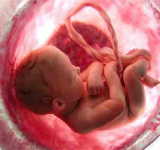 The birth of a male child | पुरुष देणार मुलाला जन्म The birth of a male child | पुरुष देणार मुलाला जन्म