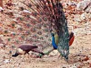 I'm crying ... I'm crying: | सुन रहा है ना तू...रो रहा हूँ मैं :