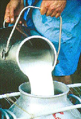 Life-threatening disruption due to Chandwad's collision | चांदवडला संपामुळे जनजीवन विस्कळीत Life-threatening disruption due to Chandwad's collision | चांदवडला संपामुळे जनजीवन विस्कळीत