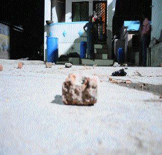 Even after tornado storming in the village of Shreeh, there was a tension | आव्हाणे गावात तुफान दगडफेकीनंतरही तणाव कायम Even after tornado storming in the village of Shreeh, there was a tension | आव्हाणे गावात तुफान दगडफेकीनंतरही तणाव कायम