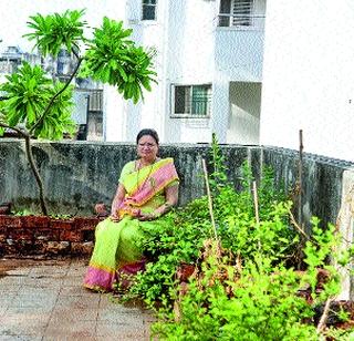 Mayor's garden washed up | महापौरांनी साकारली कचऱ्यावर बाग Mayor's garden washed up | महापौरांनी साकारली कचऱ्यावर बाग