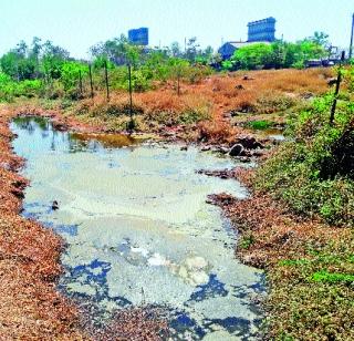 Environmental degradation by chemical project | रासायनिक प्रकल्पाने पर्यावरणाचा ऱ्हास Environmental degradation by chemical project | रासायनिक प्रकल्पाने पर्यावरणाचा ऱ्हास