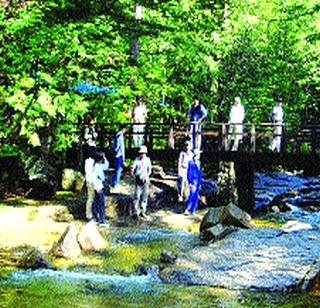 If you want to survive health, go to the forest | आरोग्य टिकवायचे असेल तर जंगलस्नान करीत जा If you want to survive health, go to the forest | आरोग्य टिकवायचे असेल तर जंगलस्नान करीत जा