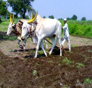 Dhule district has only 12 percent loan allocation | धुळे जिल्ह्यात अवघे 12 टक्के कर्ज वाटप Dhule district has only 12 percent loan allocation | धुळे जिल्ह्यात अवघे 12 टक्के कर्ज वाटप