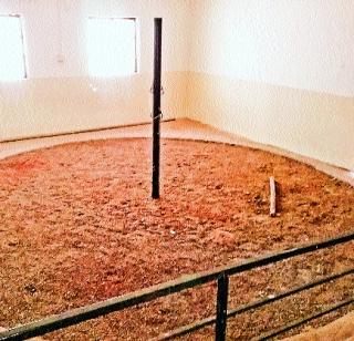 Veterinary building dust | पशुवैद्यकीय इमारत धुळीत Veterinary building dust | पशुवैद्यकीय इमारत धुळीत