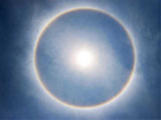 Nashikar sees 'Sanbo' | नाशिककरांनी न्याहाळला ‘सनबो’