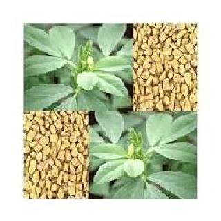 Apply fenugreek juice and coating for hair and beautiful skin. | मऊसूत केस आणि सुंदर त्वचेसाठी मेथीचा रस आणि लेप लावा.